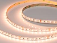 Светодиодная лента RT-A168-10mm (20 W/m, IP20, 5m)