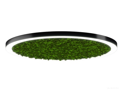Купить Halo Moss (72/D-1250)  светильники светодиодные в Москве