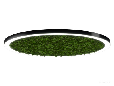 Купить Halo Moss (80/D-1400)  светильники светодиодные в Москве