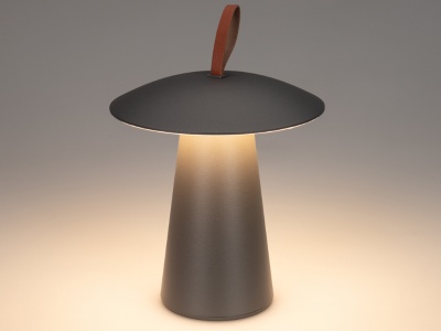 Купить интерьерные светильники светодиодные в Москве