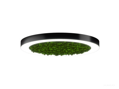 Купить Halo Moss (32/D-625)  светильники светодиодные в Москве