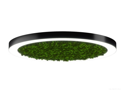 Купить Halo Moss (44/D-830)  светильники светодиодные в Москве