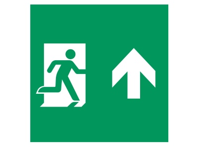 Пиктограмма EMGP-MARK-MA-UP (Человек, Вверх) купить в Москве