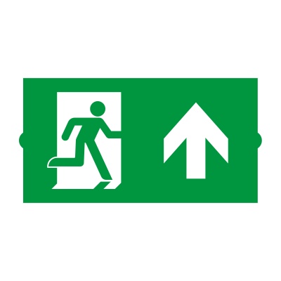 Пиктограмма EMGP-DIRECT-UP (Вверх) купить в Москве