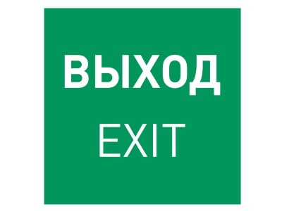 Пиктограмма EMGP-MARK-EXIT (Выход) купить в Москве
