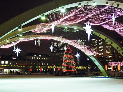 Динамическая сеть светодиодная led купить в Москве 